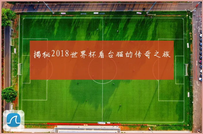 揭秘2018世界杯看台猫的传奇之旅