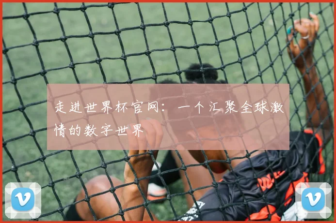 走进世界杯官网：一个汇聚全球激情的数字世界