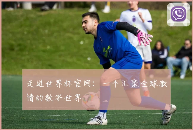 走进世界杯官网：一个汇聚全球激情的数字世界