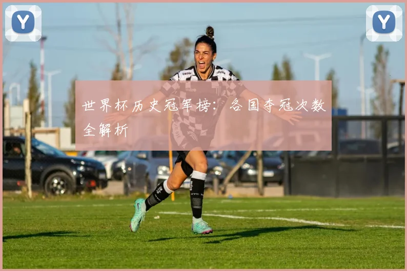 世界杯历史冠军榜:各国夺冠次数全解析