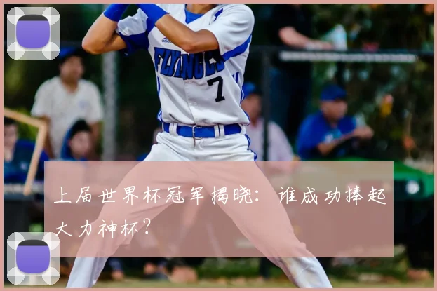 上届世界杯冠军揭晓:谁成功捧起大力神杯?