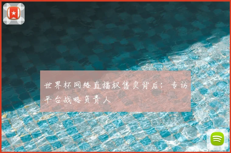 世界杯网络直播权售卖背后：专访平台战略负责人