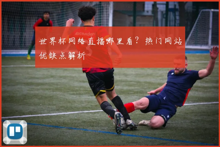 世界杯网络直播哪里看？热门网站优缺点解析